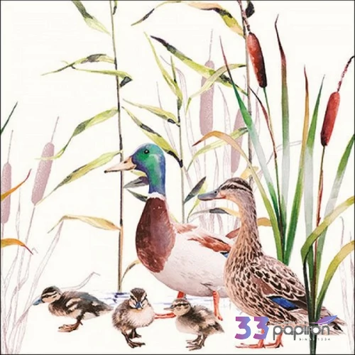 Szalvéta 33x33cm Ducks Couple 20db-os
