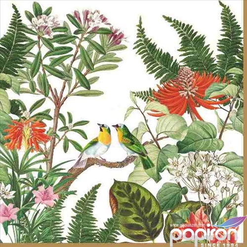 Szalvéta 33x33cm Exotica,20db-os