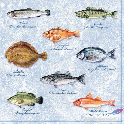 Szalvéta 33x33cm Fishes 20db-os