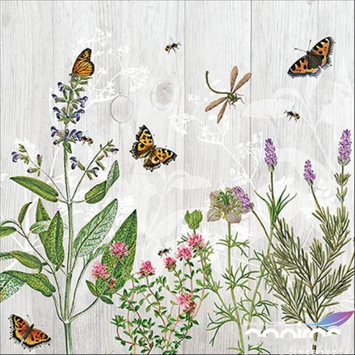 Szalvéta 33x33cm Herb Garden 20db-os 