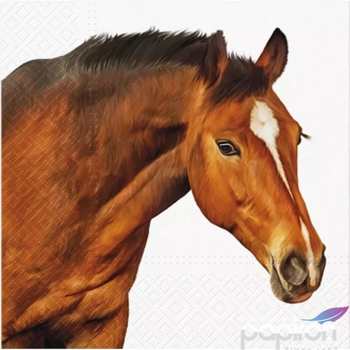 Szalvéta 33x33cm Horse Head 20db-os