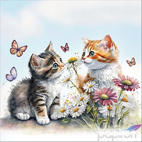 Szalvéta 33x33cm Kittens in flower field 20db-os 
