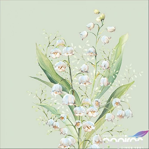 Szalvéta 33x33cm Lily of the valley green 20db-os 