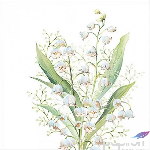 Szalvéta 33x33cm Lily of the valley white 20db-os