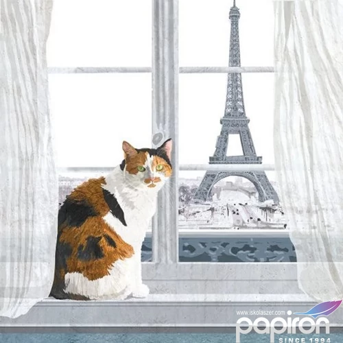 Szalvéta 33x33cm Madeleine á Paris 20db-os