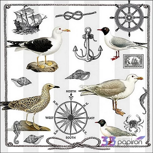 Szalvéta 33x33cm Maritime items