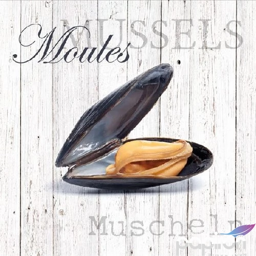 Szalvéta 33x33cm Moules 20db-os