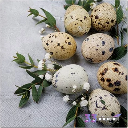 Szalvéta 33x33cm Natural eggs 20 db-os