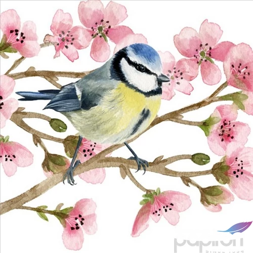 Szalvéta 33x33cm Oiseau Printemps 20db-os