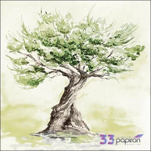 Szalvéta 33x33cm Olive tree, 20db-os