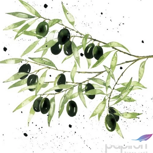 Szalvéta 33x33cm Olives 20db-os 