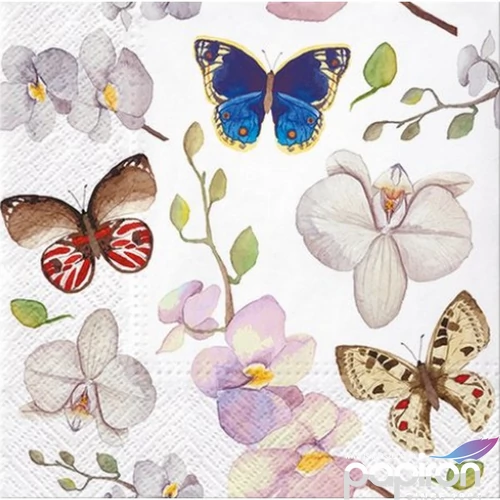 Szalvéta 33x33cm Orchidea Butterfly 20db-os
