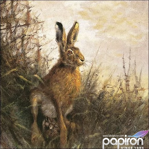 Szalvéta 33x33cm Portrait Of Hare 20db-os