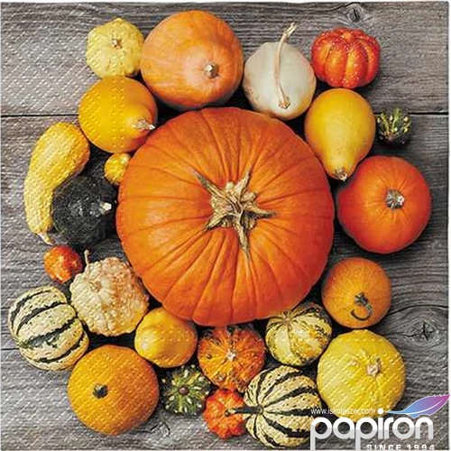 Szalvéta 33x33cm Pumpkin Composition 20 db-os