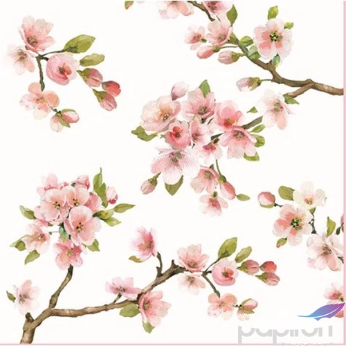 Szalvéta 33x33cm Sakura, 20db-os 