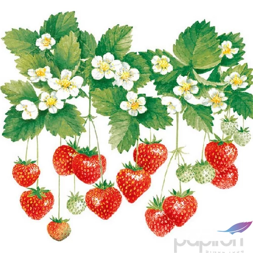 Szalvéta 33x33cm Summer Fruits 20db-os