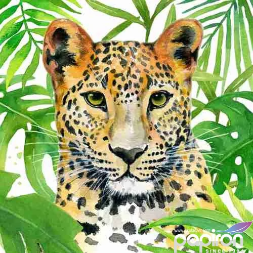 Szalvéta 33x33cm Tropical Leo 20db-os 