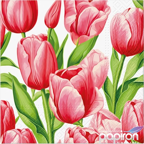 Szalvéta 33x33cm Tulip Time 20 db-os
