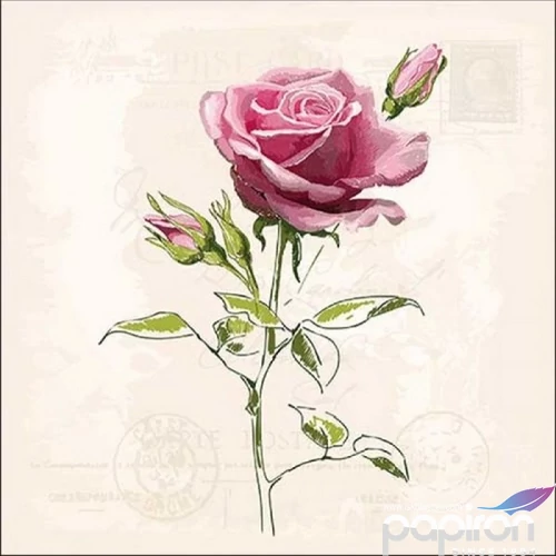 Szalvéta 33x33cm Vintage Rose 20db-os