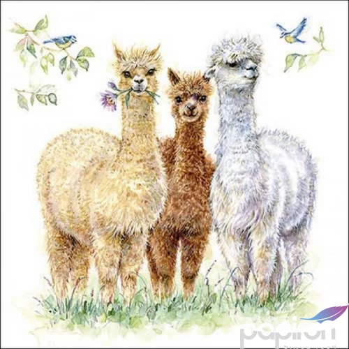 Szalvéta Ambiante Alpaca friends papír papírszalvéta 33x33cm,20db-os