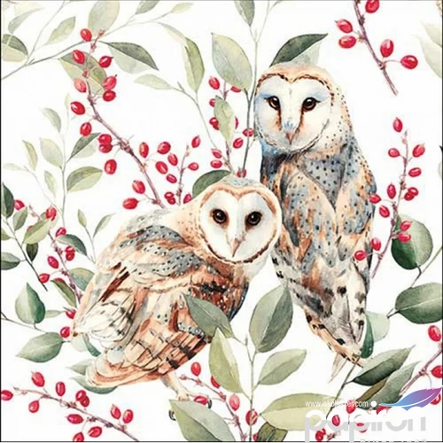 Szalvéta Ambiante Barn owl couple papír papírszalvéta 33x33cm,20db-os