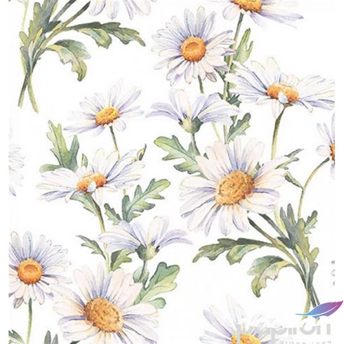 Szalvéta Ambiante Beautiful daisies white papírszalvéta 33x33cm,20db-os