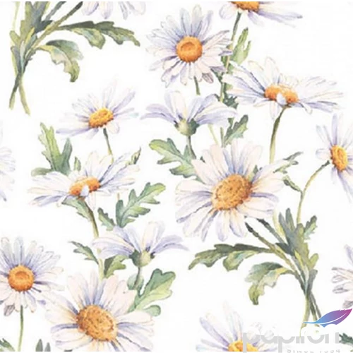 Szalvéta Ambiante Beautiful daisies white papírszalvéta 25x25cm,20db-os