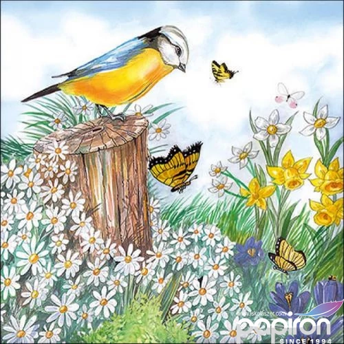 Szalvéta Ambiante Bird Watching papír papírszalvéta 33x33cm,20db-os