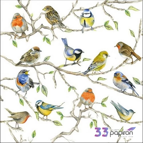 Szalvéta Ambiante Birds Meeting papír papírszalvéta 33x33cm,20db-os
