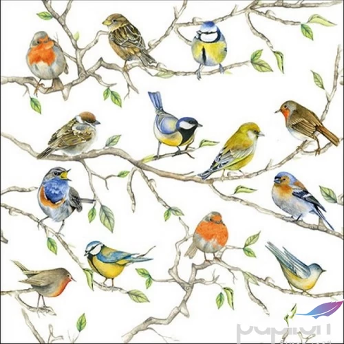 Szalvéta Ambiante Birds Meeting papír papírszalvéta 33x33cm,20db-os