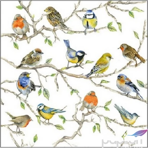 Szalvéta Ambiante Birds Meeting papírszalvéta 25x25cm,15db-os