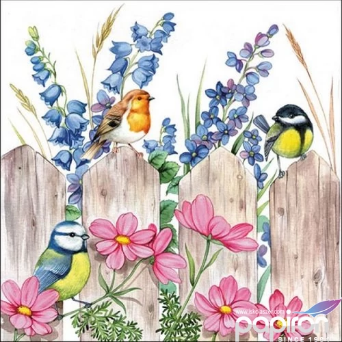 Szalvéta Ambiante Birds on Fence papír papírszalvéta 33x33cm,20db-os