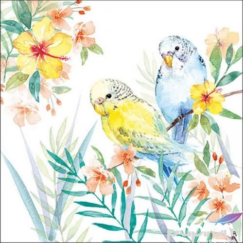 Szalvéta Ambiante Budgies Couple papír papírszalvéta 33x33cm,20db-os
