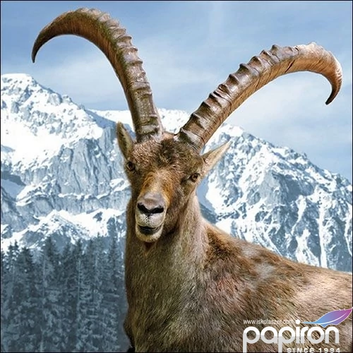 Szalvéta Ambiante Capra Ibex papír papírszalvéta 33x33cm,20db-os