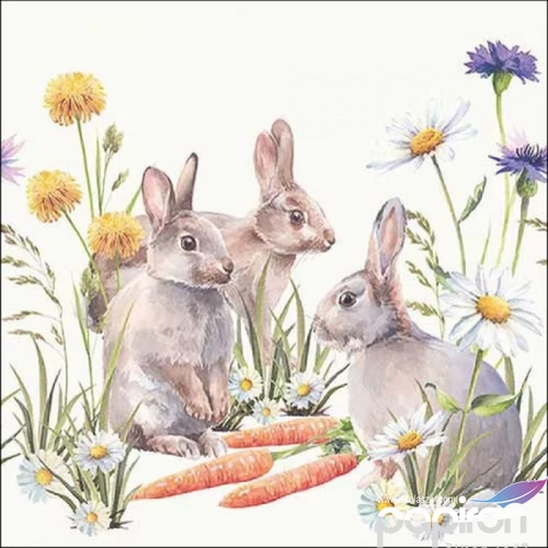 Szalvéta Ambiante Carrot treat papírszalvéta 33x33cm,20db-os