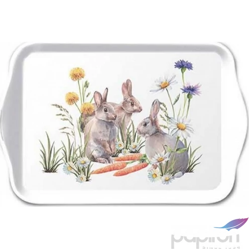 Szalvéta Ambiante Carrot treat műanyag kistálca 13x21cm