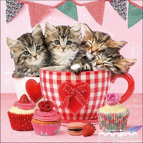 Szalvéta Ambiante Cats in Tea Cups papír papírszalvéta 33x33cm,20db-os