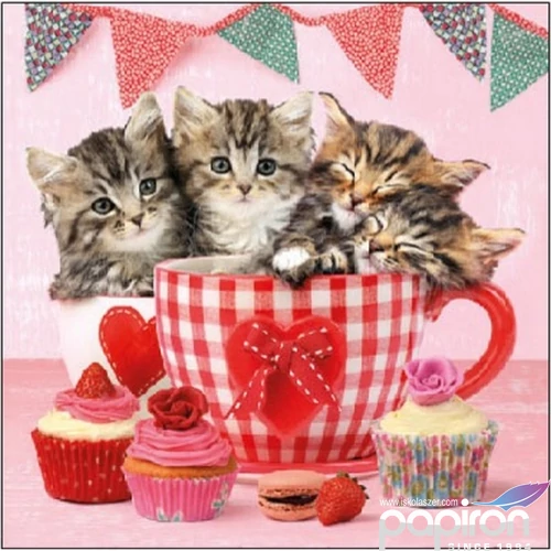 Szalvéta Ambiante Cats In Tea Cups papírszalvéta 25x25cm,15db-os