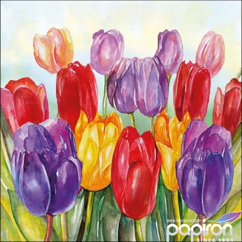 Szalvéta Ambiante Colourful tulips papír papírszalvéta 33x33cm,20db-os