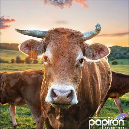 Szalvéta Ambiante Cow in Sunset papír papírszalvéta 33x33cm,20db-os