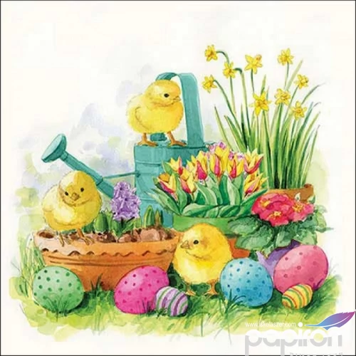Szalvéta Ambiante Curious chicks papírszalvéta 33x33cm,20db-os