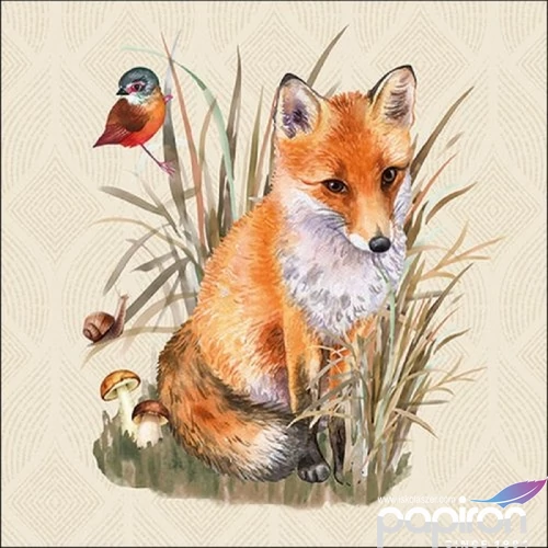 Szalvéta Ambiante Foxy papí papírszalvéta 33x33cm,20db-os