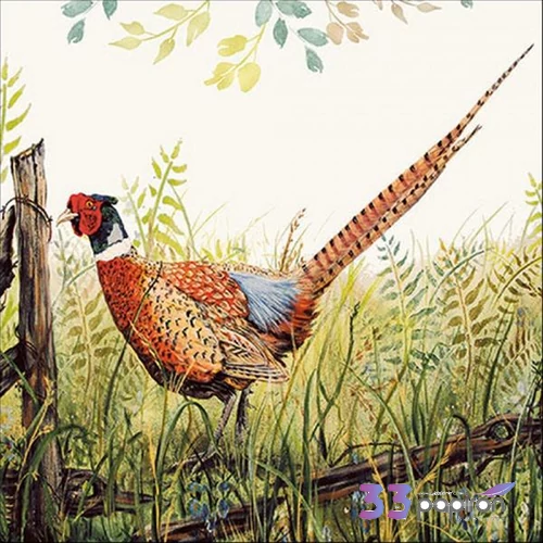 Szalvéta Ambiante Glorious Pheasant 33x33 20db
