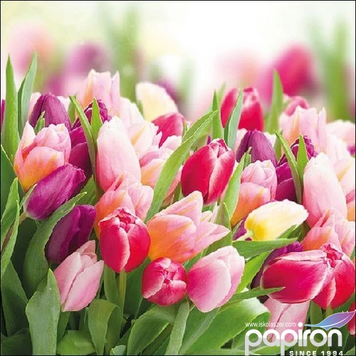 Szalvéta Ambiante Glorious Tulips papírszalvéta 33x33cm,20db-os