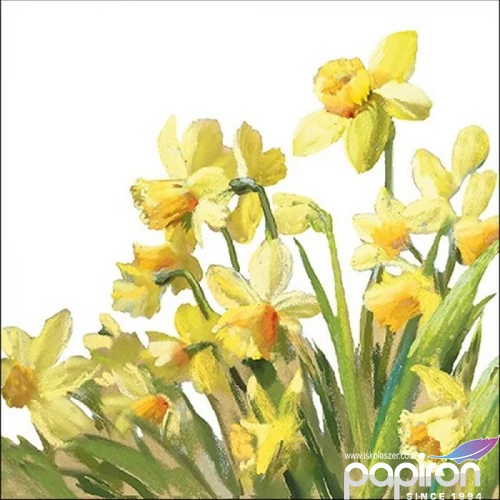 Szalvéta Ambiante Godl en Daffodils papír papírszalvéta 33x33cm,20db-os