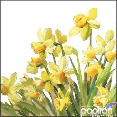 Szalvéta Ambiante Godl en Daffodils papírszalvéta 25x25cm,15db-os