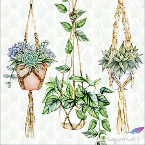 Szalvéta Ambiante Hanging Plants papírszalvéta 33x33cm,20db-os