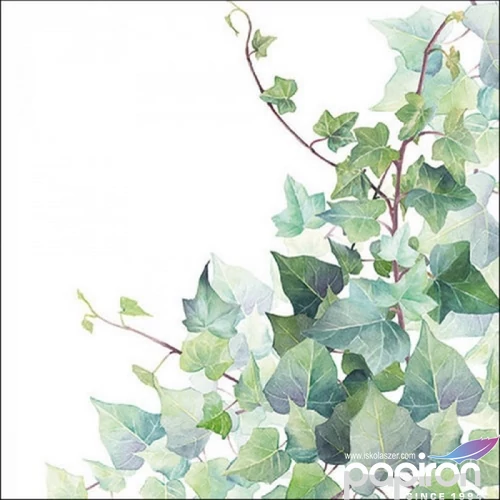 Szalvéta Ambiante Hedera White papír papírszalvéta 33x33cm,20db-os