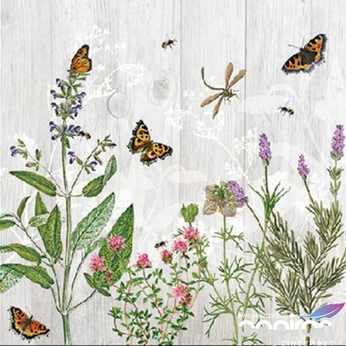 Szalvéta Ambiante herb garden papírszalvéta 25x25cm,20db-os