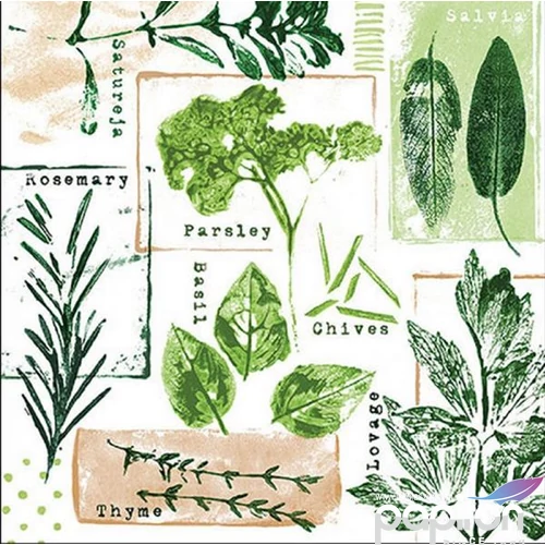 Szalvéta Ambiante Herb prints white papírszalvéta 33x33cm,20db-os